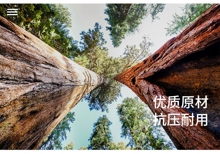 蜂窝纸板